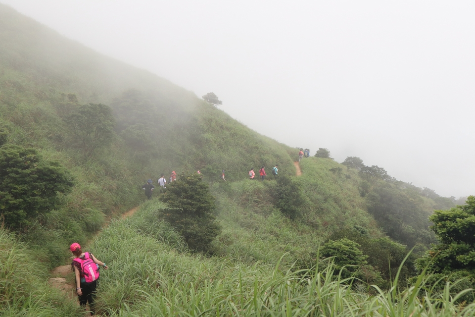 mmexport1558317037491