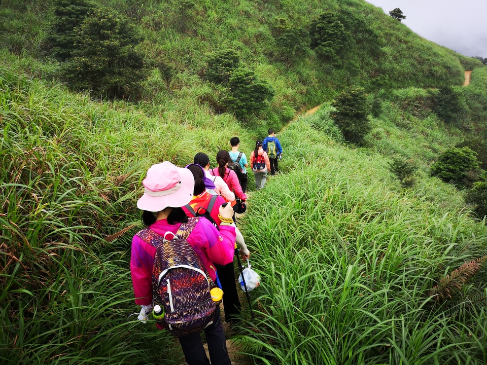 mmexport1558317509281