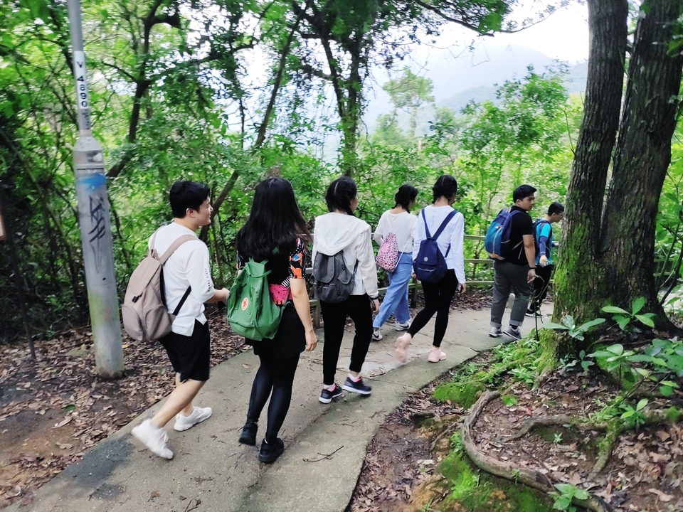 IMG_20190525_104747_1