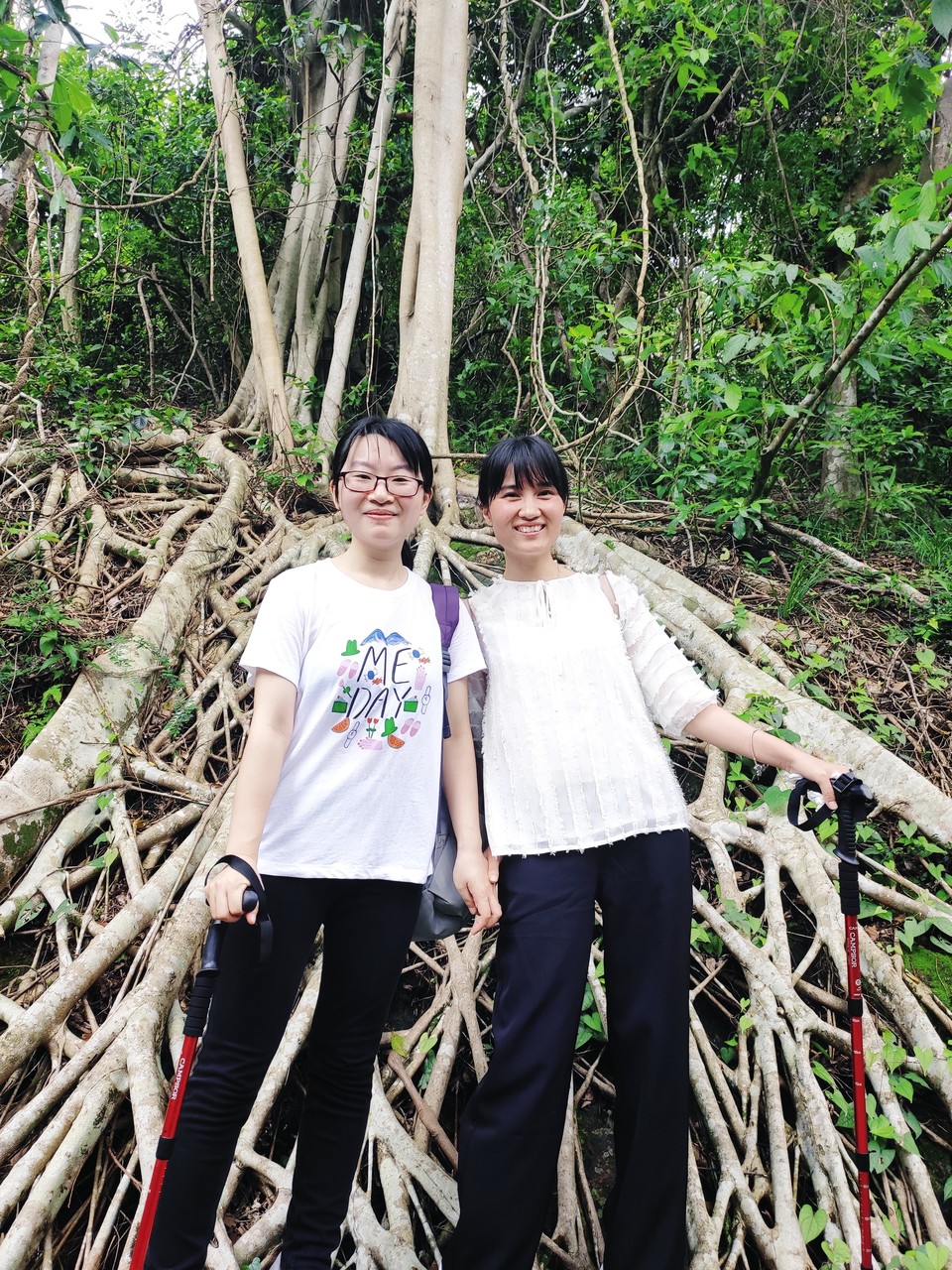 IMG_20190525_121046_1