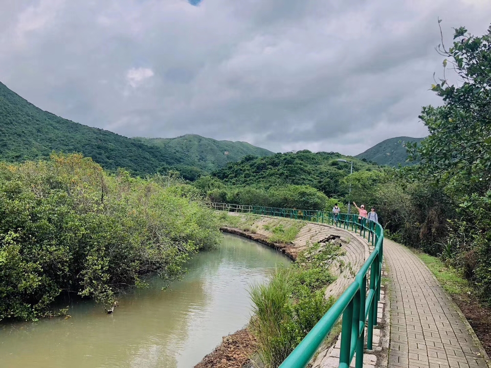 mmexport1559383082758