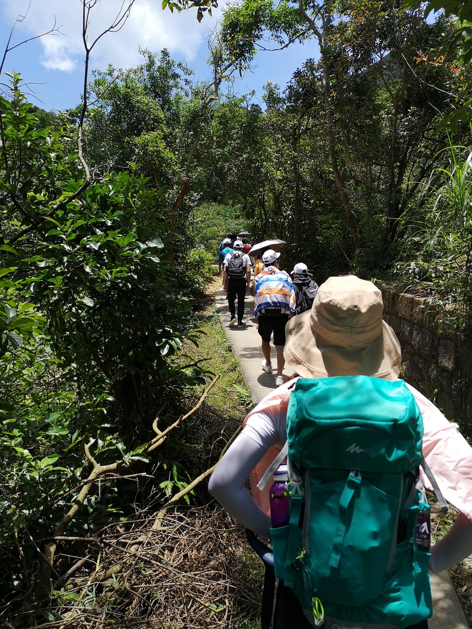 mmexport1560150050378