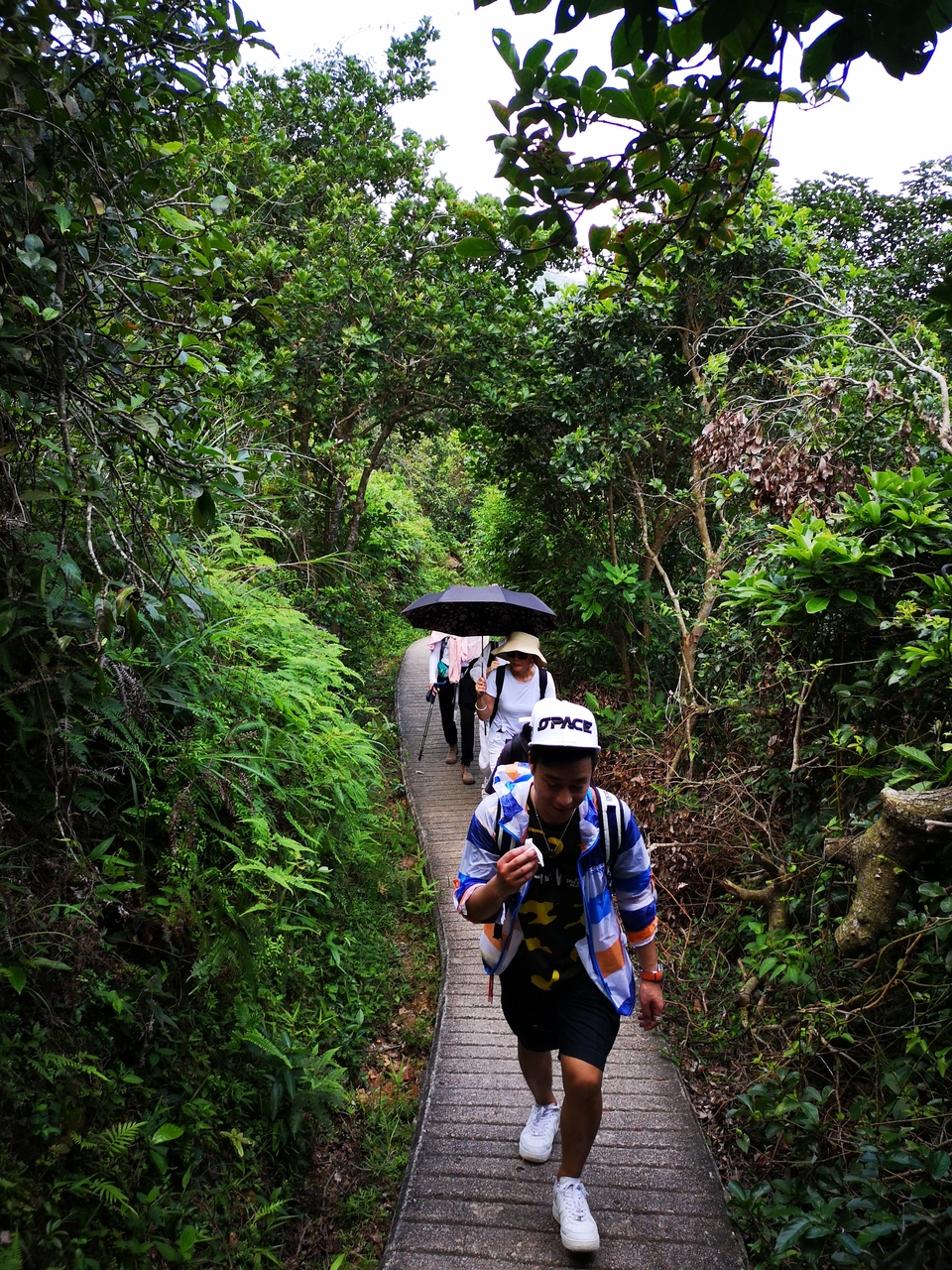 mmexport1560150058042