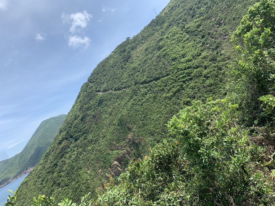 mmexport1560150102067