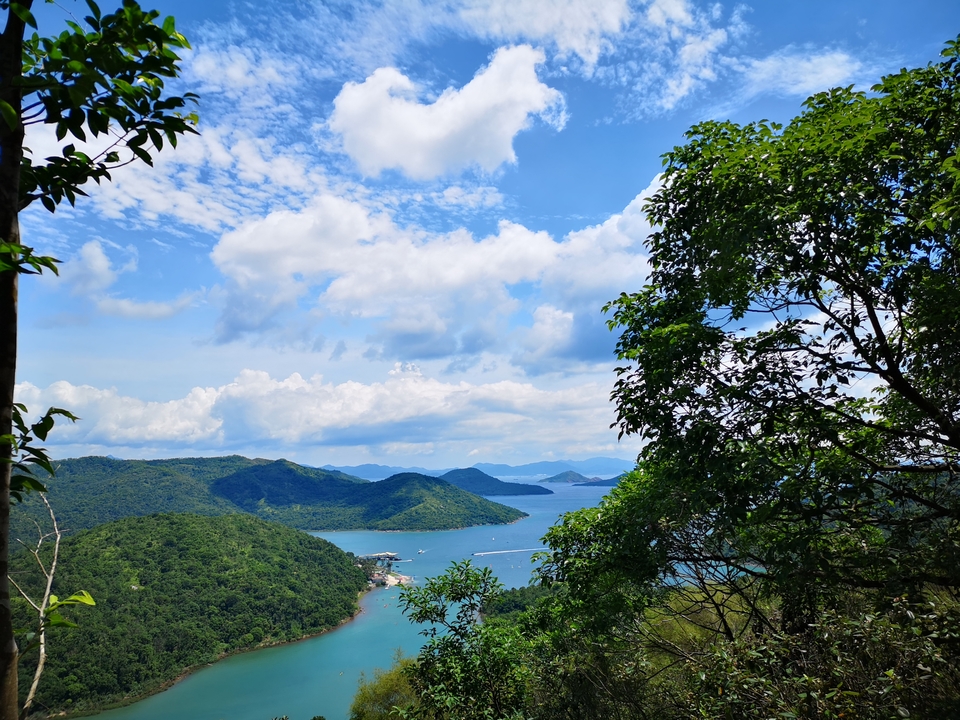 mmexport1560150153937