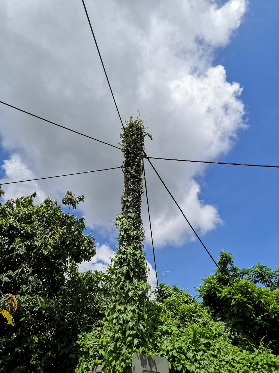 mmexport1560150510369