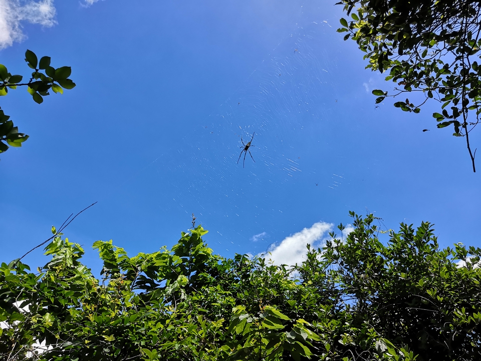 mmexport1560150513770