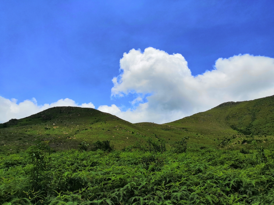 mmexport1560150535634