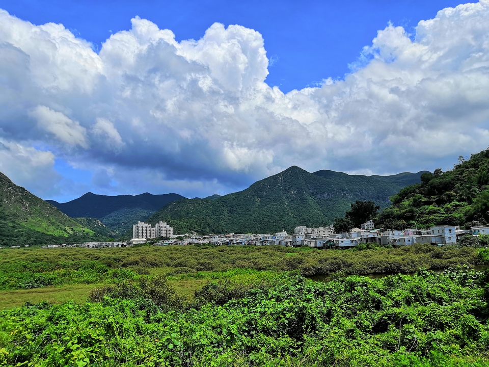 mmexport1560150553165