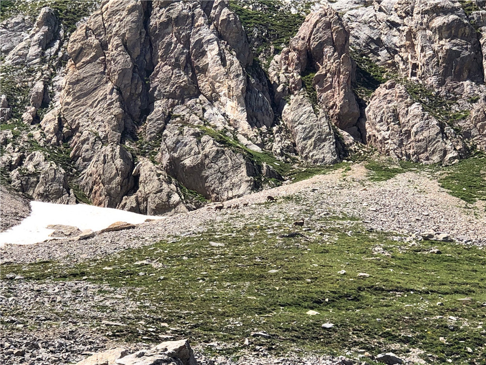 TMB欧洲环勃峰徒步图片