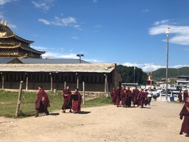 9E7923BB-1BA6-4F93-8745-DB8AE0226ECE