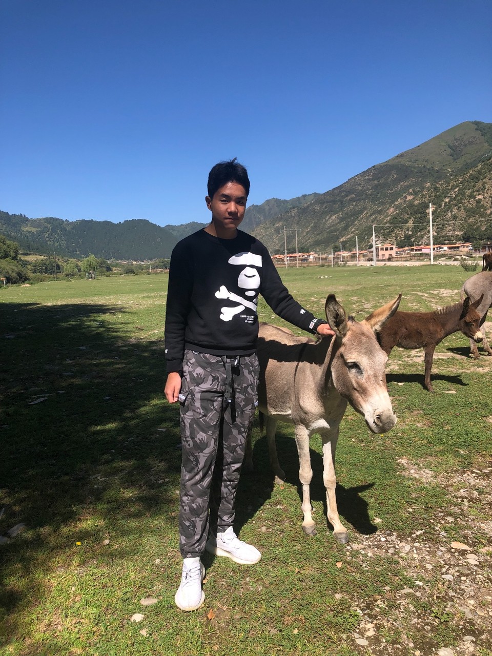 977109FD-1745-494E-B677-7DCD3462C7C7