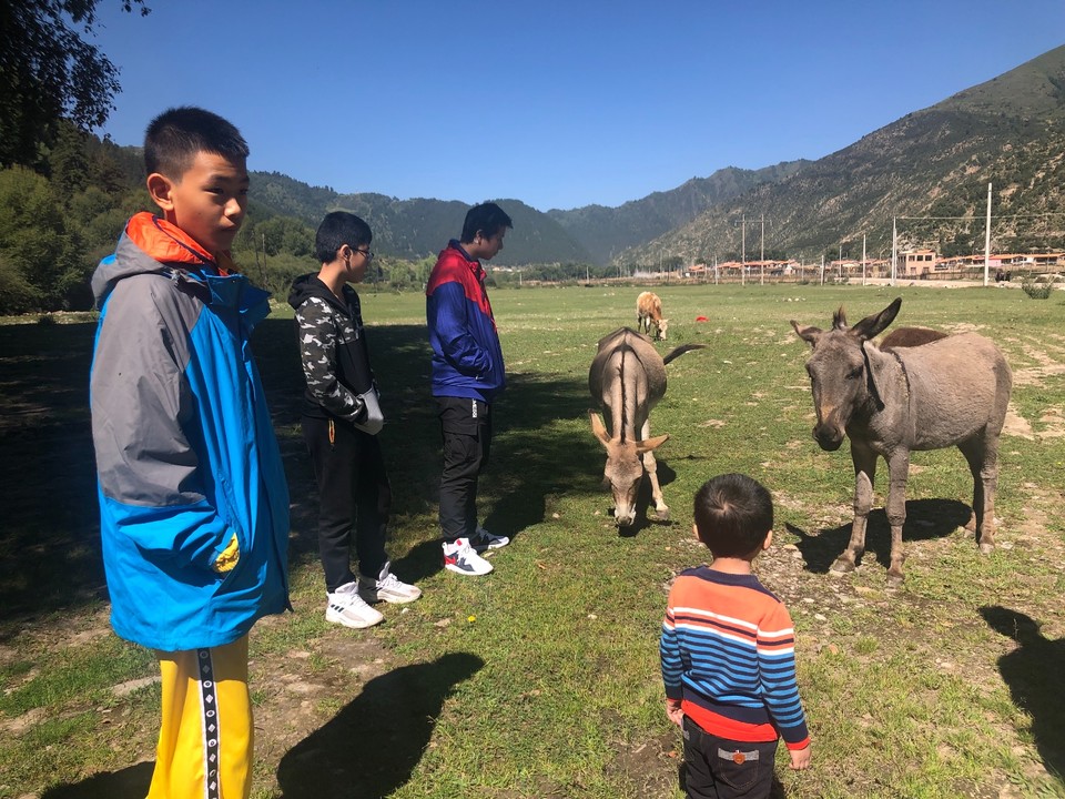 7A5E8ED3-6392-427A-8E17-45FDAC7C9E8D