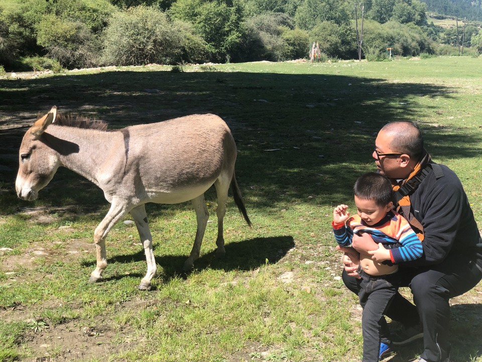 2641FFC3-9630-4C1B-9F24-9D4815427337