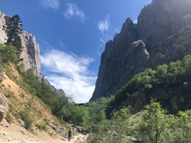 138DBF8B-9FE4-4AD9-AE9B-A668DFB5DF49