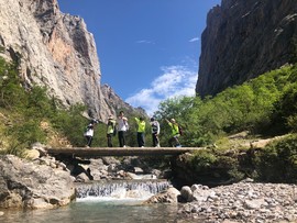 2A365C47-1751-4FB8-8F73-8CFB67D137E9