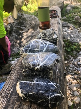 C5B2C248-E639-4CA4-A237-8DF393CBA45E