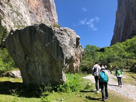 EB434318-18BF-48CD-8B4B-47167E7FF306