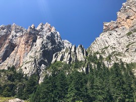 026B9F7E-A88C-484D-B5BD-6FDC62E335D4