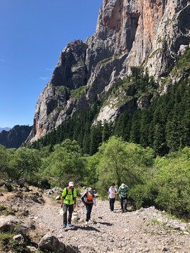 FC6FC67C-637A-4DCB-95F1-D6A932F7FBA6