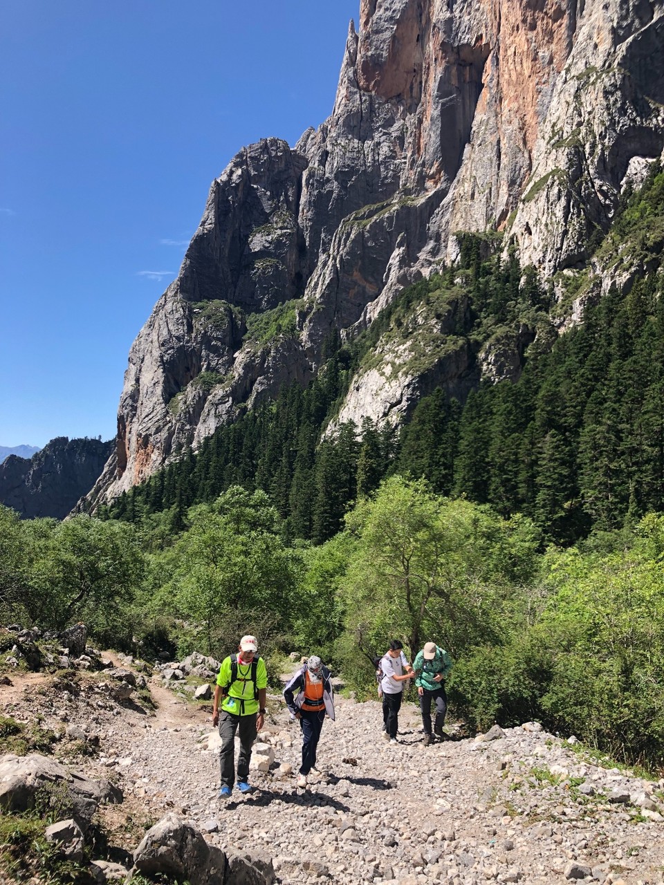 FC6FC67C-637A-4DCB-95F1-D6A932F7FBA6