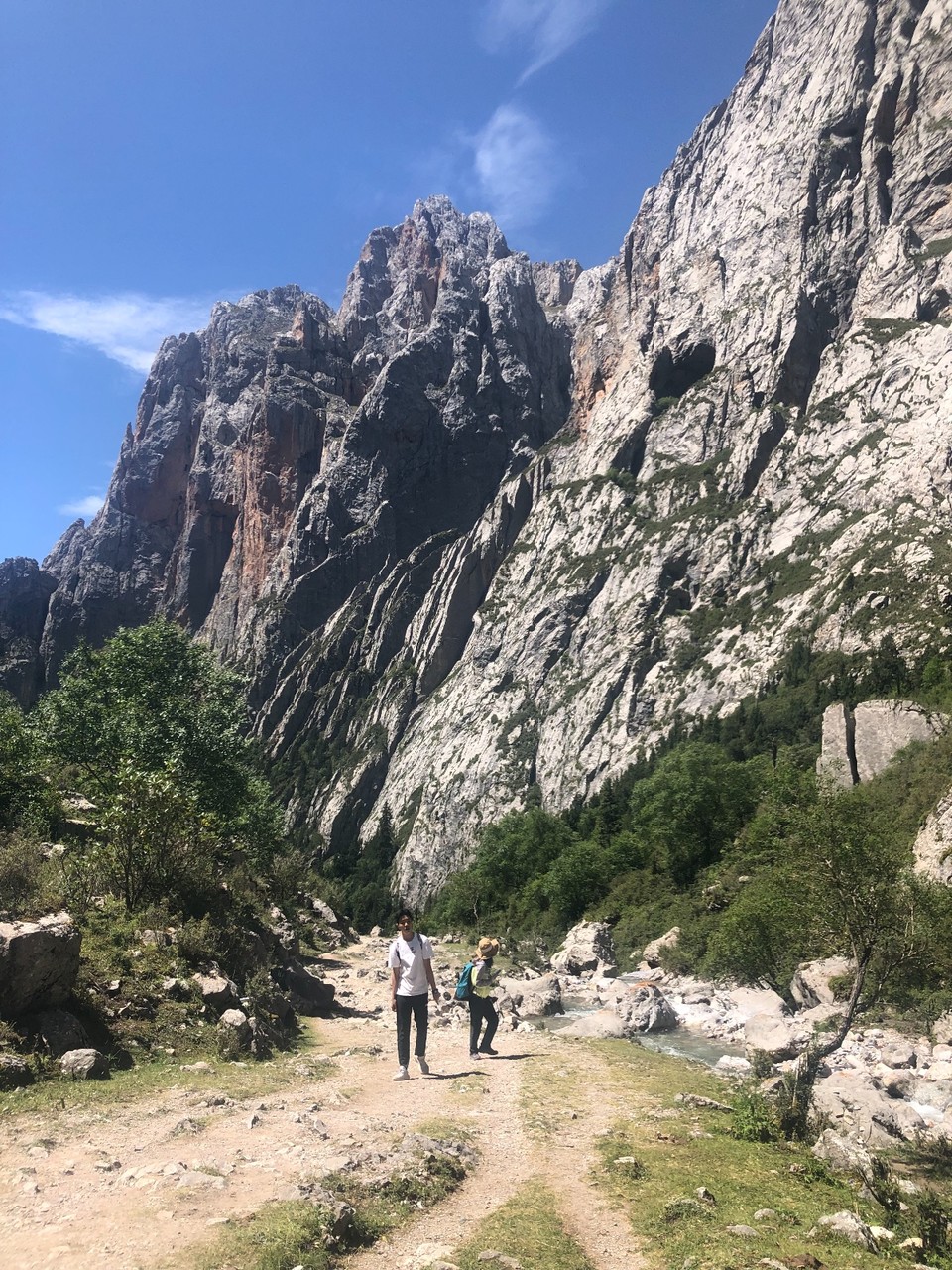 60B344DC-A7EF-4581-9F0C-A33287AC6924