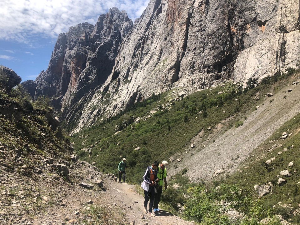 E1C378C6-29AC-45E3-8414-809777C04C2E