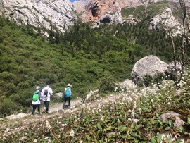 B76501D1-7D06-42DC-9543-78130DDC8D34