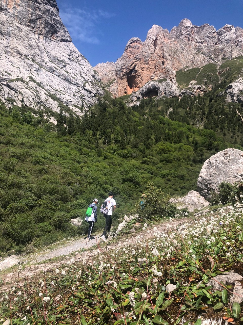 1F710F14-714F-4C72-9A27-B10F8025EE20