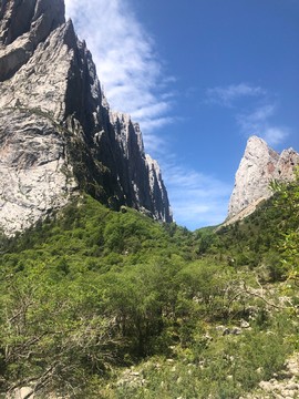 0EADC46B-6197-4E83-AF4E-D528B2483A93