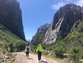 94F04C93-ABDA-4D74-8E29-F9499CB1E860