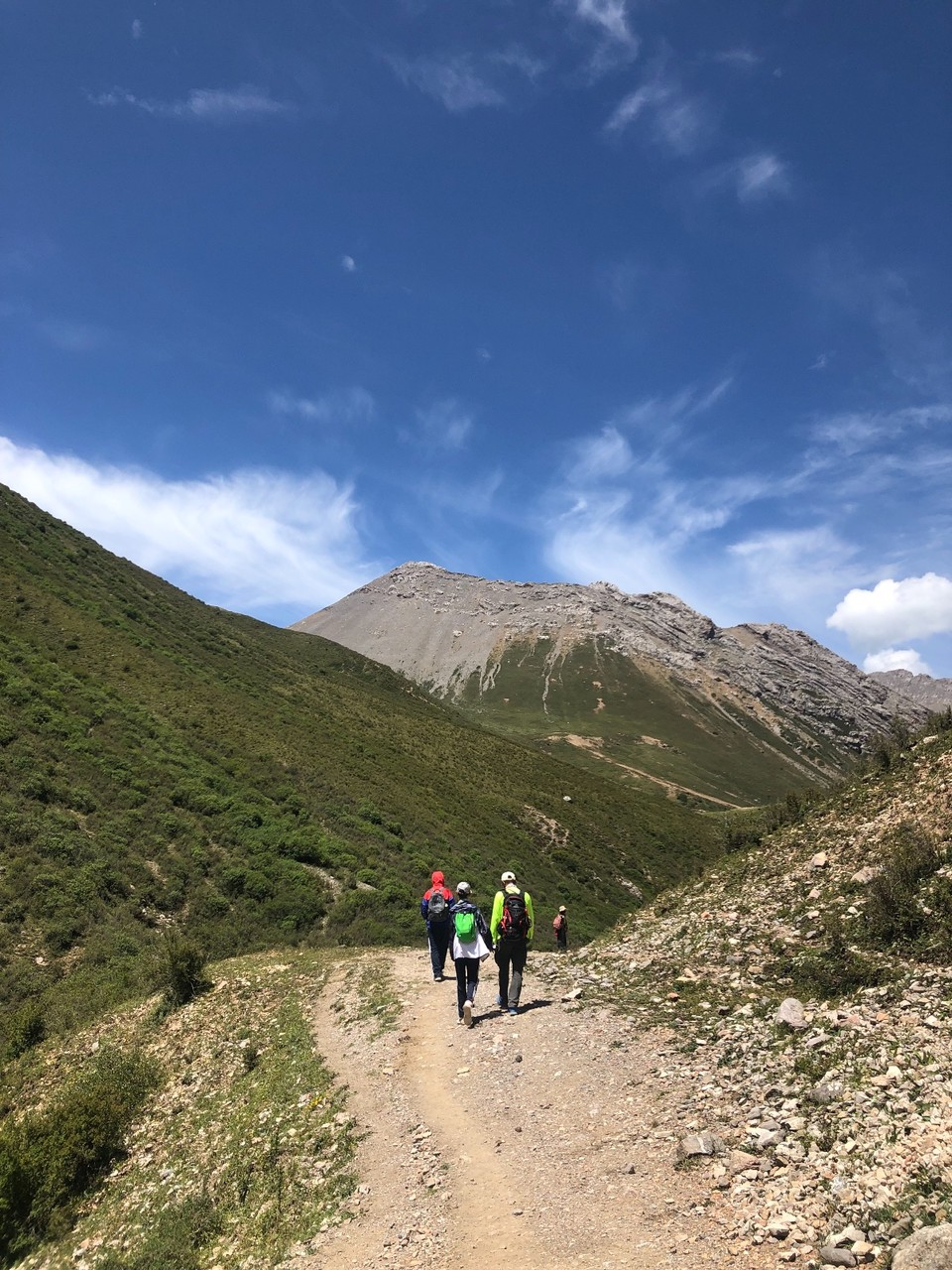 F146BA1C-8D7B-4911-B3E8-5716496B8F04