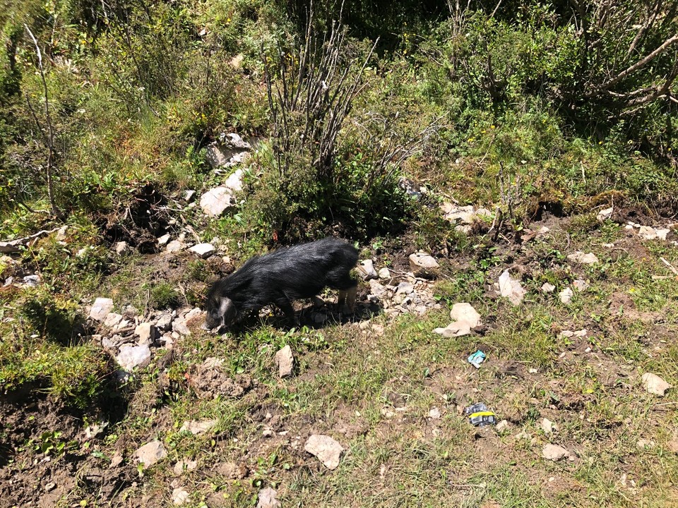 13795030-39CE-4D32-AA9C-FAFAD5373394