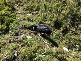 0303CCA2-AB38-456C-92B7-F350C452D68C