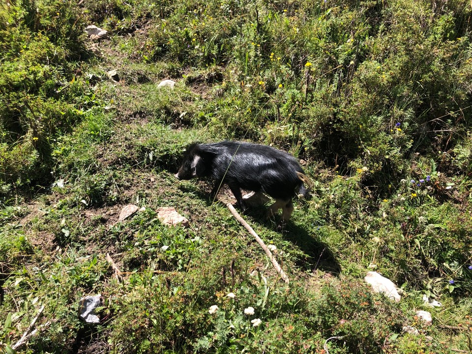 0303CCA2-AB38-456C-92B7-F350C452D68C