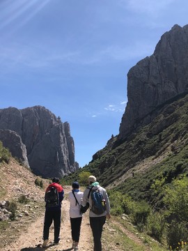 B4A50A28-A86A-4459-8CCF-34834DA40FCF