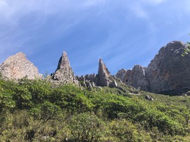 49A2C281-6930-496D-99F4-A881AEDFC8E2