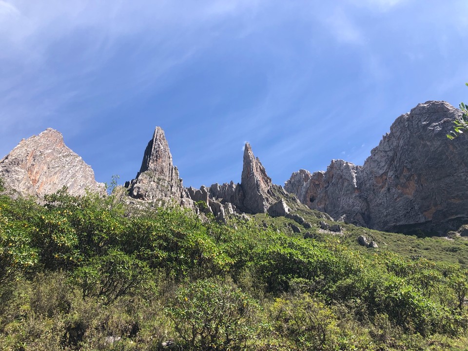 49A2C281-6930-496D-99F4-A881AEDFC8E2