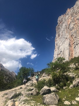 8E102421-BDE0-4406-B1A9-E3B3A0F879E5