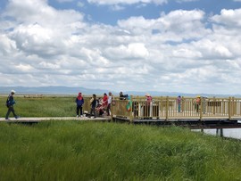 D3F1937E-3F59-4F6D-BDB4-BF0EEB98B39C