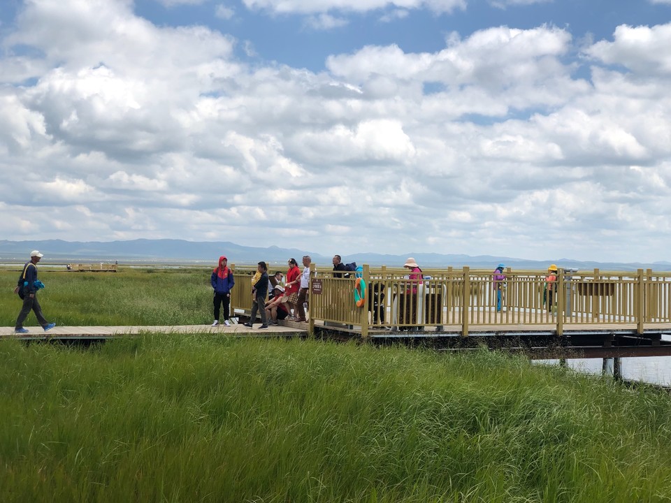 D3F1937E-3F59-4F6D-BDB4-BF0EEB98B39C