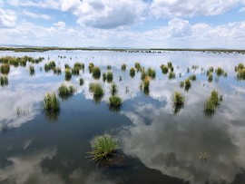 EA009ECB-5C4E-4883-B4C9-897043050898