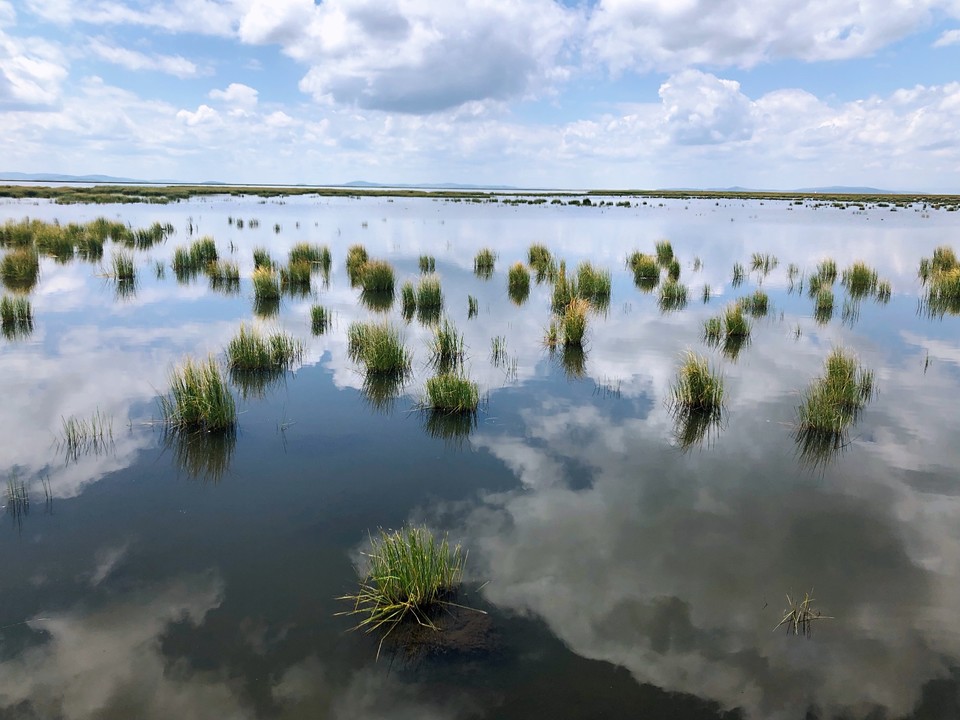 EA009ECB-5C4E-4883-B4C9-897043050898