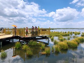 D08A7B48-CA56-4CBE-B73E-7753FF69020B