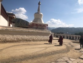 956E7CCE-8DC0-4838-9C15-BCE07757B90A