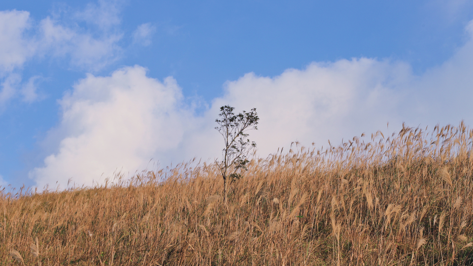 微信图片_20191125091229