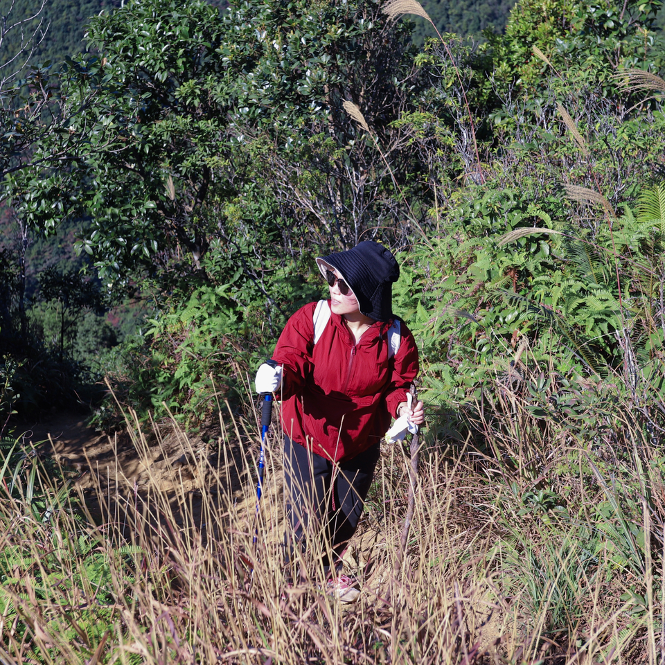 微信图片_20191125091825