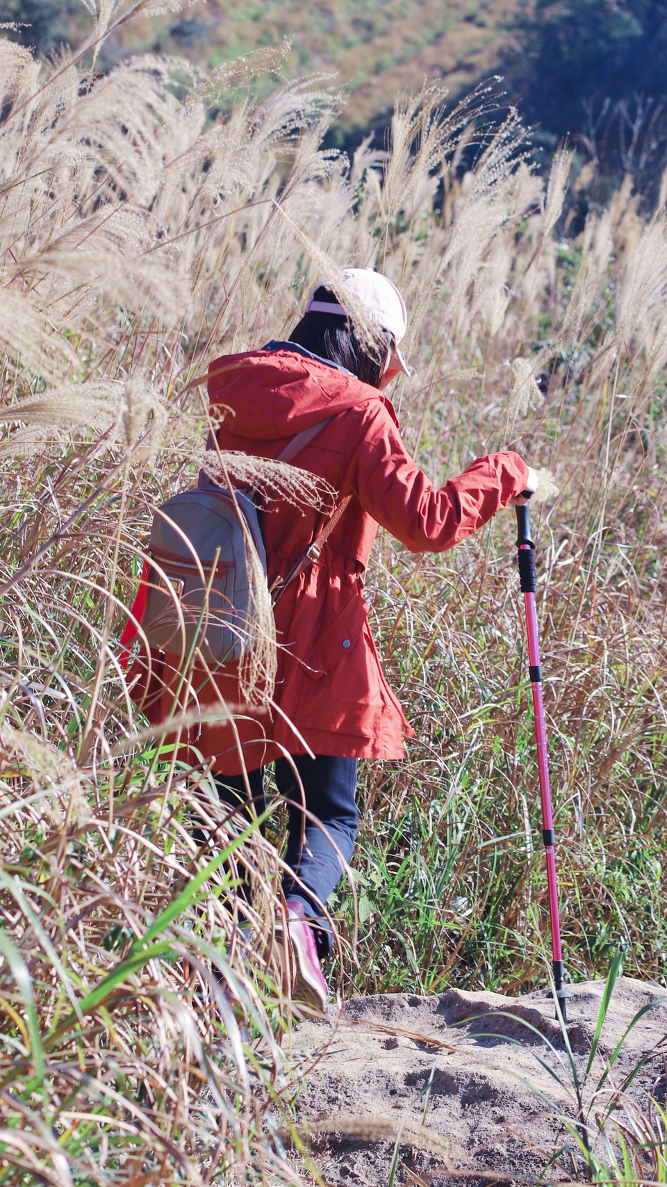 微信图片_20191125092051