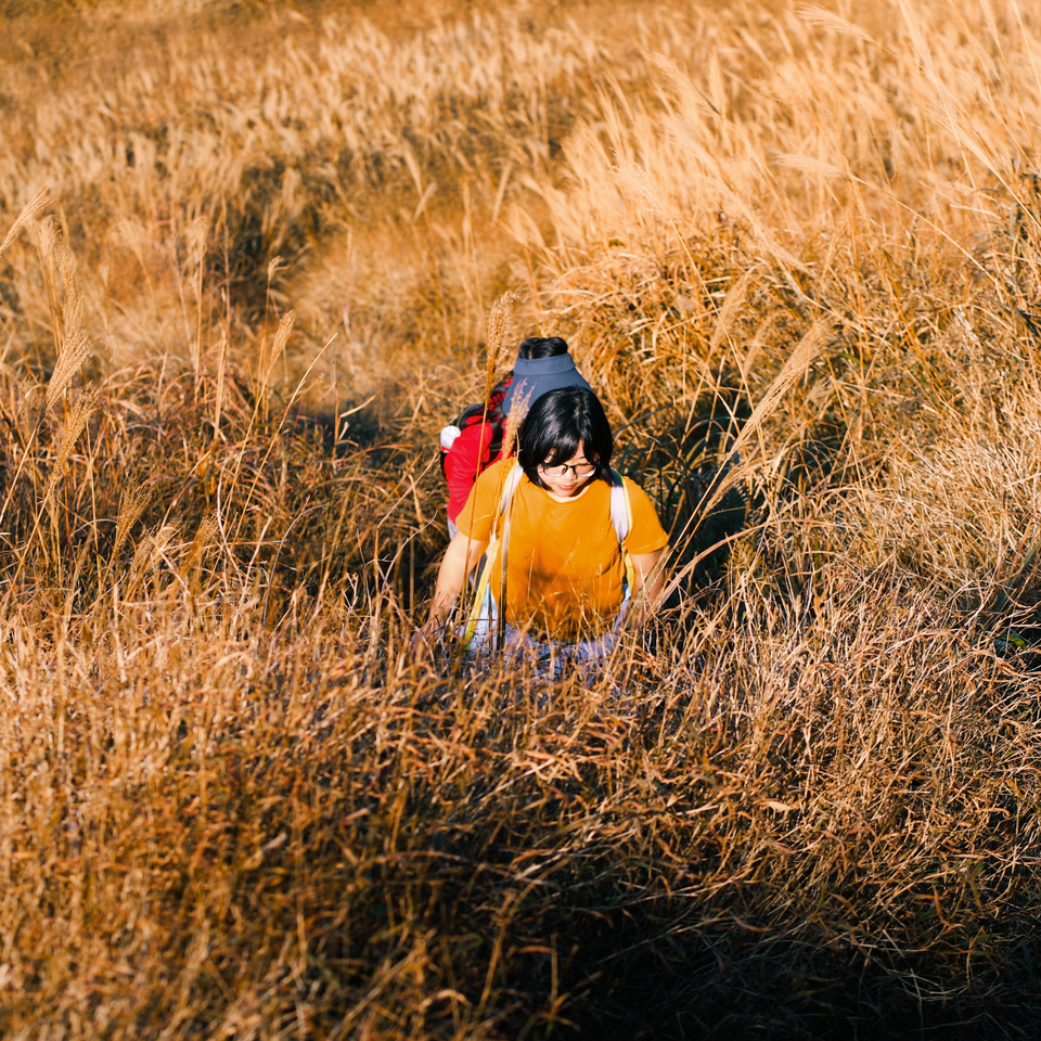 微信图片_20191125092059