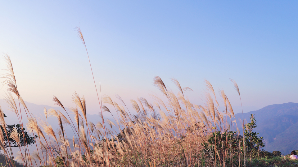 微信图片_20191125093014